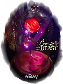 Beauty And The Beast Rose Enchanted Disney Gift Birthday Wedding Anniversary