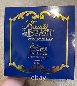Beauty and the Beast 30th Jumbo Pin Disney Destination D23 LE 250 WDI MOG