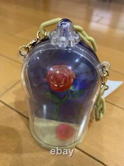 Disney Beauty And The Beast Tokyo Resort area Opening Goods Set