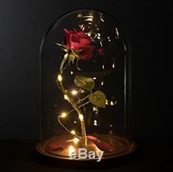 Disney Beauty and the Beast Enchanted Rose Fairy Tale Belle Glass Prop Life Size