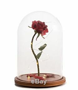 Disney Beauty and the Beast Enchanted Rose Fairy Tale Belle Glass Prop Life Size