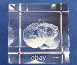 Disney Beauty and the Beast Laser Cube Collectible Figurine Gift