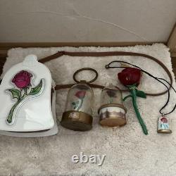 Disney Beauty and the Beast Rose Dome 5Piece Set with Light & Music
