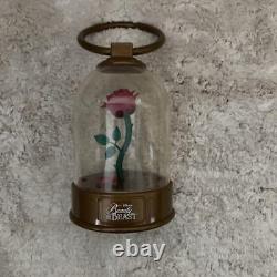 Disney Beauty and the Beast Rose Dome 5Piece Set with Light & Music