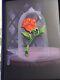 Disney Disney Beauty And The Beast Anniversary Jumbo Enchanted Rose Pin Le 150