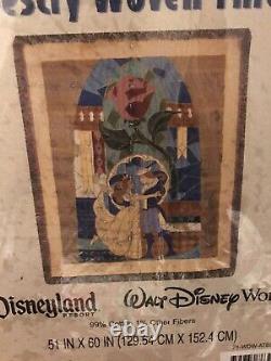 Disney Parks Beauty and the Beast Stained Glass Tapestry Woven Throw Blanket NEW