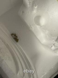 Disney Store Beauty And The Beast Be Our Guest Musical Snow Globe