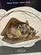 NEW 2013 Hallmark Disney Wonders Within Snow Water Globe Beauty & the Beast