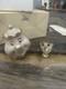 NIB Disney Lenox Mrs. Potts & Chip Figurines Beauty and the Beast Collectible