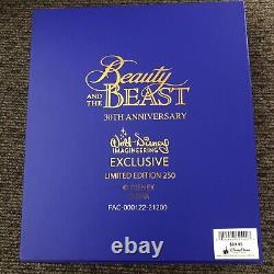 New WDI Disney Beauty and the Beast LE 250 MOG Jumbo Pin 30th Anniversary