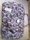 Vera Bradley Disney Belle Floral Beauty & The Beast Weekender NWT