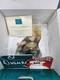 WDCC Disney Beauty & Beast Maurice & Lumiere Is Someone There New, Box/COA