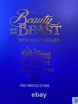 WDI Disney Beauty and the Beast LE 250 MOG Jumbo Pin 30th Anniversary