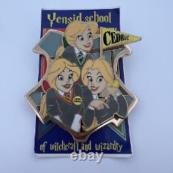 YENSID SCHOOL Beauty & Beast BATB BIMBETTE Harry Potter LE 25 Fantasy Disney Pin
